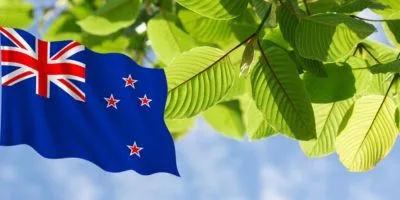 What is the Current Legality of Kratom in New Zealand?